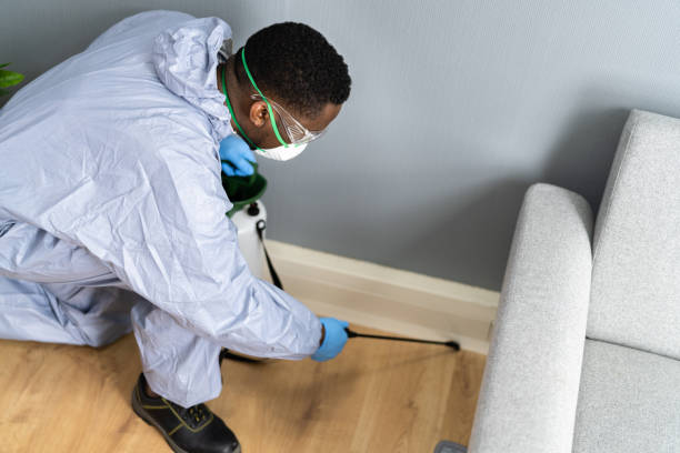 Professional Pest control in Imperial Beach, CA